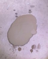 MG Cal Sp oil leak 4