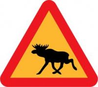 Moose.jpg